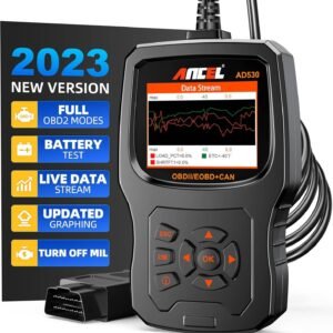 Ancel AD310